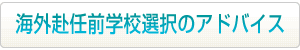 海外赴任前学校選択のアドバイスはこちらから